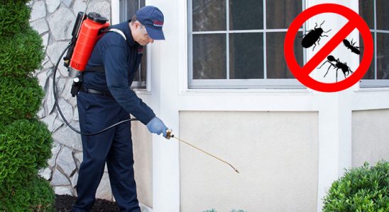 Çatalzeytin Kemirgen İlaçlama böcek ilaçlama ve haşere kontrolü — ilaclama-tr.com